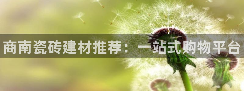 杏鑫官方平台怎么样啊