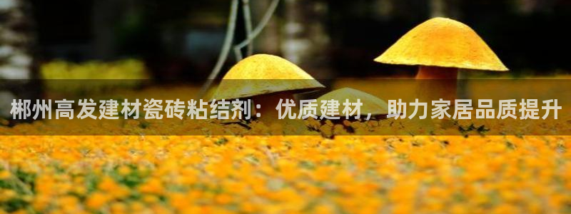 杏鑫官网最新信息