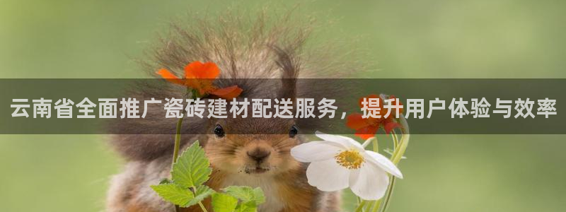 杏鑫官网注册账号