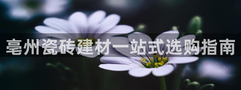 杏鑫官网注册账号怎么注册不了