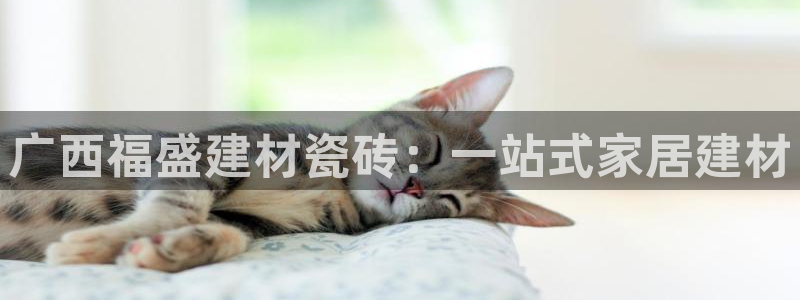 杏鑫官网注册账号怎么注册