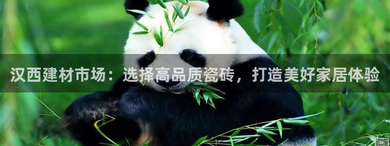 杏鑫平台代理注册流程图