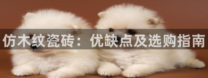 杏鑫平台注册入口在哪