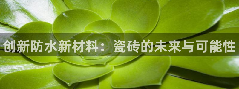 杏鑫官网最新信息