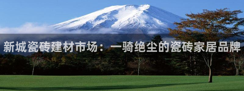 杏鑫官网最新信息